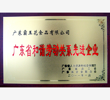 廣東省和諧勞動關(guān)系先進企業(yè)