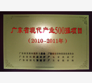 廣東省現(xiàn)代產(chǎn)業(yè)500強項目