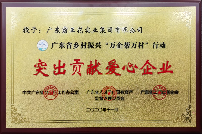 廣東省鄉(xiāng)村振興“萬企幫萬村”行動突出貢獻愛心企業(yè)